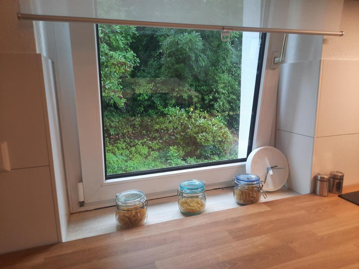 Precioso Apartamento, Aparcamiento Gratis Augustusburg Buitenkant foto